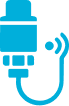 pt icon