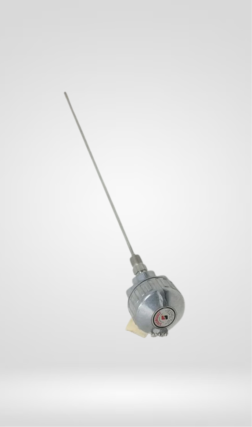 RTD18 Dual Temperature Sensor
